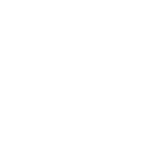        -   201 .