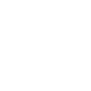      4x4 -   110 .