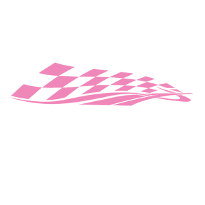      Racing Flag -   99 .
