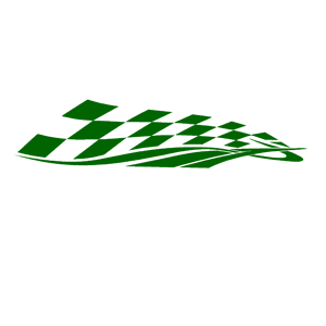      Racing Flag -   99 .