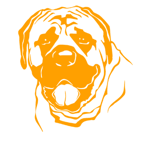       -   161 .