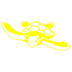        -   82 .