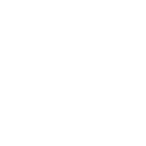 Gun family