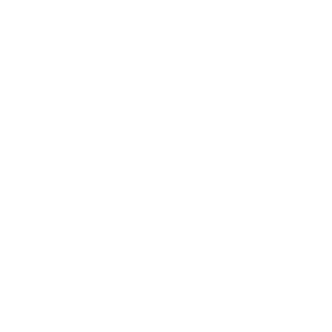    2025 !