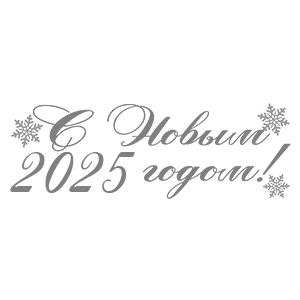    2025 !