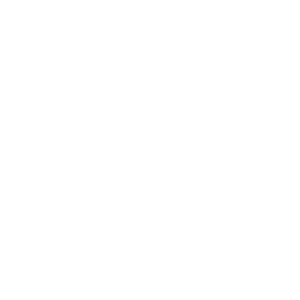      4x4 -   110 .