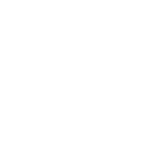      Mini-car -   70 .