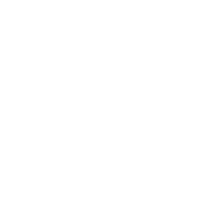      Mini-car -   70 .