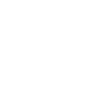      -   161 .