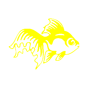       -   81 .