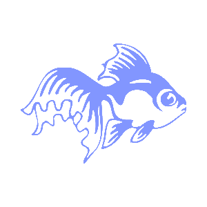       -   81 .
