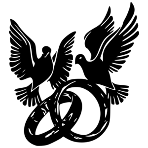      -   231 .