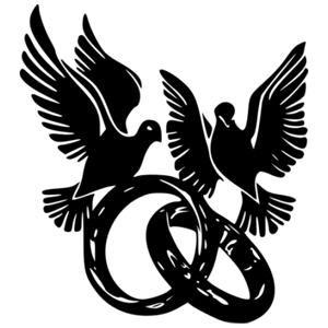         -   231 .