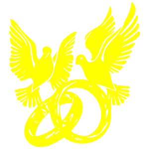      -   231 .