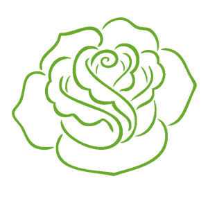 ����������� �� ����������� ������-������� �������� ������� ����� - ������ �� 163 ���.