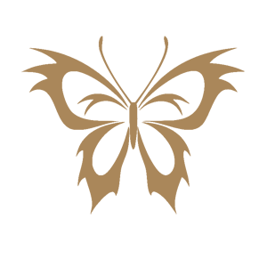   (papillon)