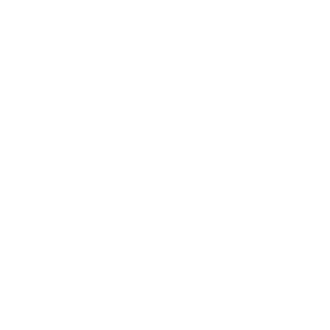  Like a boss