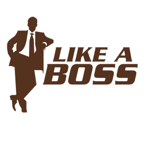  Like a boss