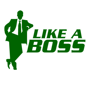  Like a boss