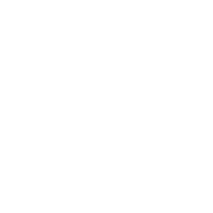     -   133 .