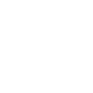        -   161 .