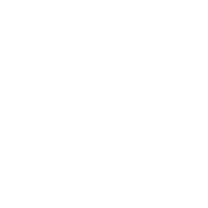      44 Off Road -   131 .