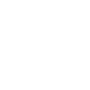        -   231 .