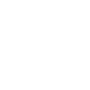      DC Shoes -   81 .