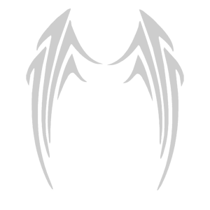    -   207 .