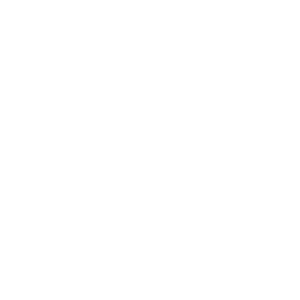       λ -   161 .