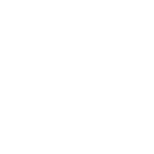        -   95 .