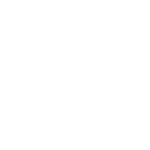      Mouse-fighter -   124 .