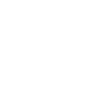        -   161 .