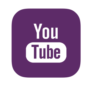   YouTube -   81 .