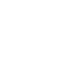      YouTube -   81 .