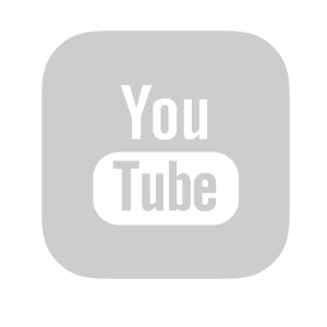   YouTube -   81 .