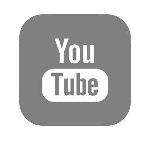   YouTube -   81 .