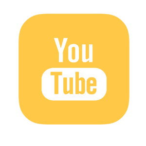   YouTube -   81 .
