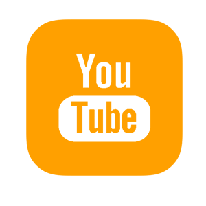   YouTube -   81 .