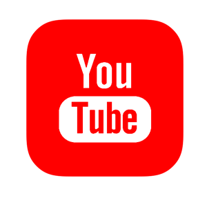   YouTube -   81 .