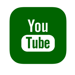   YouTube -   81 .