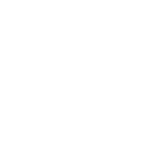      Subaru -   105 .