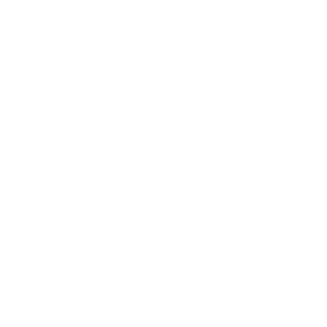       ׸ -   81 .