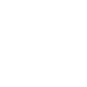      8  -   161 .