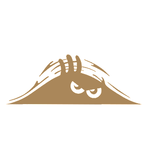 -   -   75 .