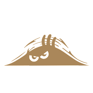    -   -   75 .