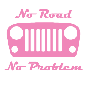  No Road - No Problem