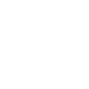      Chevy-Niva Club -   141 .