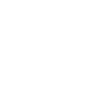        -   133 .