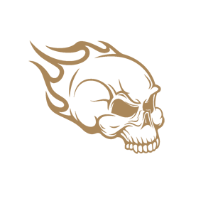 ����������� �� ����������� ������-���������� �������� ������ � ���� - ������ �� 133 ���.